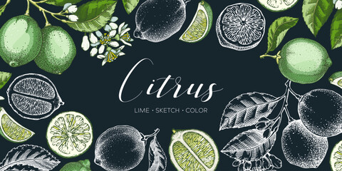 Lime fruit banner. Exotic plants design template. Citrus fruit sketch, watercolor, chalkboard style. Mixed media summer background. Hand drawn vector illustration. NOT AI generated