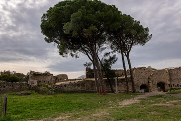 Wall Mural - ruins of castle