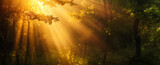 Fototapeta  - Sunbeams breaking through a lush forest canopy.