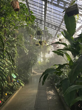 Real Jardín Botánico, A Botanical Garden In The City Center With A Sample Of Over 5000 Species Of Live Plants Inside A Greenhouse. Located In Murillo Square, In Front Of The Prado Museum.
