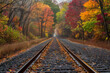 landscape with railroad in autumn forest