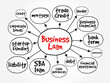 Business Loan - type of financing provided by a financial institution to a business entity for various purposes related to the business, mind map text concept background