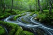 Oirase stream flowing through the green forest in Aomori, Japan