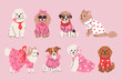 © Екатерина Зирина - Set of cute fashionable dogs in clothes. Vector graphics.