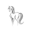 Line drawing of a horse on a white background, vector illustration