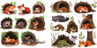 Forest animals resting or hibernate, cute racoon, fox and beaver vector illustration set