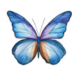 Vector Watercolor Butterfly The Ulysses butterfly Papilio ulysses