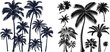 Tropical botany silhouettes