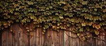 A Home Fencing Made Of Wood With Ivy Growing On It, Creating A Natural Landscape Pattern. The Green Vines Cover The Wooden Fence Beautifully