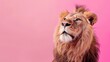 studio headshot portrait lion smiling against a pink background