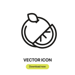 Leinwandbilder - Orange icon vector. Linear-style sign for mobile concept and web design. Orange symbol illustration. Pixel vector graphics - Vector.	
