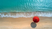 Beach Aerial, Hammock-swinging Dog, Lush Palm Shadows, Bright Summer Day, Vivid, Sharp Detail