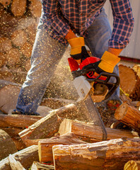 Wall Mural - Chainsaw in action cutting wood. Man cutting wood with saw, dust and movements. Chainsaw. Close-up of woodcutter sawing chain saw in motion, sawdust fly to sides.