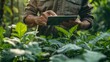 Hands of farmer, Agriculture technology farmer man using tablet Modern technology concept agriculture , vibrant