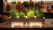 A smart indoor herb garden with LED grow lights