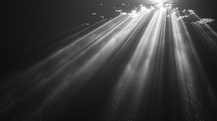Aufkleber - Transparent sunlight special lens flash light effect. front sun lens flash. Lamp of radiance with sun rays overlay. Sun rays light isolated on black background for overlay design. It can be used for