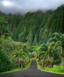 Green hawaii mountains with a single road