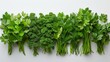 Fresh green cilantro and flat-leaf parsley, their leaves dewy and vibrant, carefully laid out on a white surface, their bright colors and fragrant aroma hinting at the fresh, herbal notes
