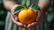 Two hands holding fresh tasty orange fruit