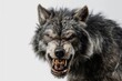 portrait of a werewolf on white background
