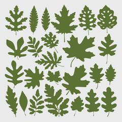 Wall Mural - oak leaf silhouette set