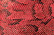 Red python, snake skin background