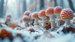  A cluster of diminutive fungi atop a heap of snow-laden earth adjacent to an expanse of woodland featuring arboreal vegetation