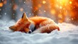  A fox, sleeping under snow with eyes closed and head back
