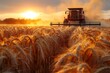 A combine harvester cuts wheat during golden hour with a beautiful sunset creating a breathtaking rural scene