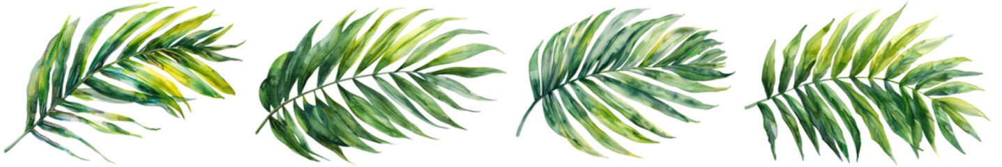 Wall Mural - Collection of palm leaf, watercolor, cutout, png isolated transparent background