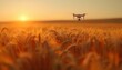A black drone hovers over a golden wheat field in the rays of the setting sun.
Concept: technologies in agriculture, the use of drones in agricultural technology and for crop monitoring.
