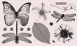 Retro photocopy effect summer nature elements collection. Wild flowers heads, butterfly, dragonfly with grunge punk messy texture. Trendy y2k aesthetic vector illustration.