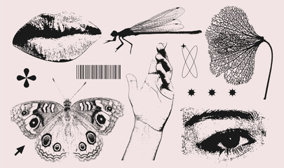 Wall Mural - Trendy elements set with a 2000s natural beauty aesthetic. Retro photocopy effect y2k eye, lips, dragonfly, butterfly, hand for vintage print design. Vector textured clipart