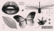 © LanaSham - Lips, butterfly, dragonfly, flower, leaf realistic elements with a retro grainy photocopy effect. Y2k print for brutal design. Grain effect and stippling. Vector dots textured illustration collection.