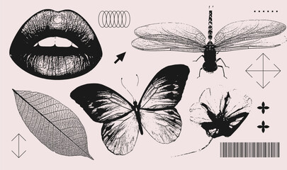 lips, butterfly, dragonfly, flower, leaf realistic elements with a retro grainy photocopy effect. y2