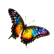 beautiful butterfly flying png