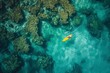 A person in a yellow kayak navigating the waves in the vast ocean, Bird's-eye view of a surfer riding in a clear, coral-filled sea, AI Generated