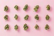 A row of marijuana plants are arranged in a grid on a pink background. The plants are all different sizes and shapes, but they all have the same green color. Concept of order and uniformity