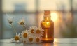 Chamomile essential oil bottle and chamomile flowers closeup, skin care cosmetic concept