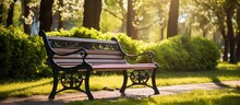 Park Bench In The Sun With Trees