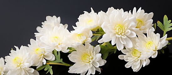 Wall Mural - White flowers in vase on black table