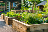 Fototapeta  - Wooden raided beds in modern garden growing plants herbs spices vegetables and flowers near a wooden house in the countryside on a sunny day