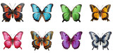 Fototapeta Motyle - Set Of Colourful Butterflies With Transparent Background, House Furniture 