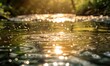 Sunlight dancing on the surface of a babbling spring river