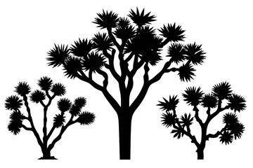 Wall Mural - Joshua tree vector illustration