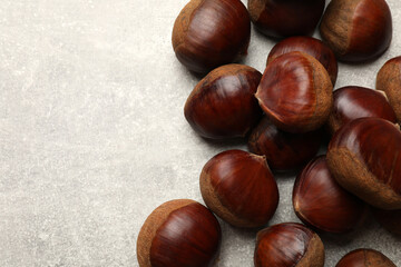 Wall Mural - Roasted edible sweet chestnuts on light grey table, flat lay. Space for text