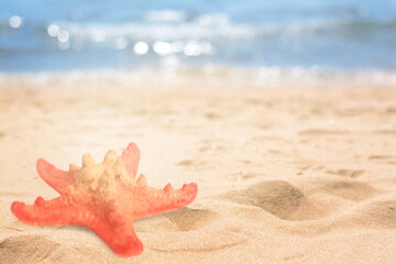 Poster - Starfish on sandy beach near sea, space for text