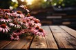 Empty rustic old wooden boards table copy space with Echinacea or coneflower plants in background. Product display template