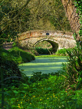 Old Bridge With Green River