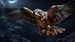 falcon High Quality image